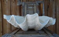 Clam shell vintage for sale  New Port Richey