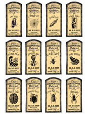 Haloween potion labels for sale  HIGH WYCOMBE