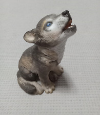 grey wolf puppies for sale  Petersburg