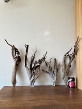 Driftwood pieces root for sale  ROCHDALE