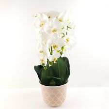 Faux orchid plant for sale  Dothan