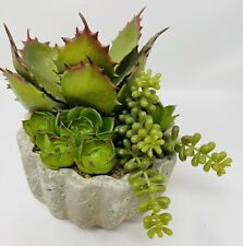 Artificial succulent plants for sale  Carmel