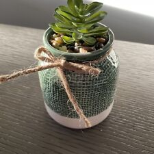 Faux succulent textured for sale  Elkin