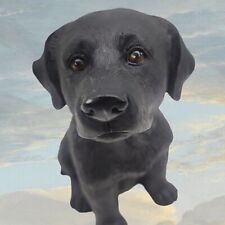 Black lab puppy for sale  Sacramento