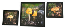 Home decor mushroom for sale  Sapulpa