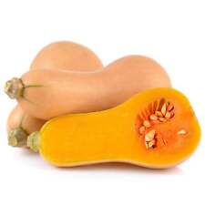 Butternut Squash - Seeds - Organic - Non Gmo - Heirloom Seeds – Vegetable Seeds , used for sale  Shipping to South Africa