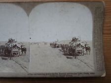 Antique Old Photo South Africa Boers War Afrikaners Afrikaanders for sale  Shipping to South Africa
