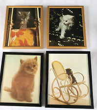 Kittens framed for sale  OLDHAM
