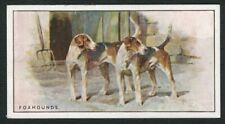 Foxhound wills 1926 for sale  COLEFORD