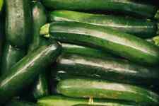 Organic zucchini seeds for sale  Fabius