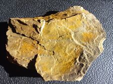 Pedra de arenito 4+ lb Virgínia Ocidental, usado comprar usado  Enviando para Brazil