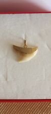 Pendentif véritable dent d'occasion  Bastia-