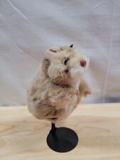 Folkmanis hamster puppet for sale  Virginia Beach