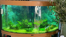 Aquarium 350 liter gebraucht kaufen  Schöningen