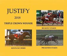Justify 8x10 photo for sale  Rochester