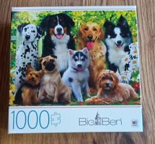 1000 piece jigsaw for sale  Chillicothe