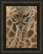 Newborn giraffe collin for sale  Onamia
