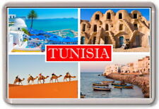 Fridge magnet tunisia for sale  CIRENCESTER