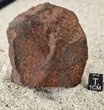 Meteorite nwa 16615 d'occasion  Pernes-les-Fontaines