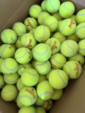 LOTE DE 100 pelotas de tenis mixtas WILSON PENN DUNLOP juguete para perro segunda mano  Embacar hacia Argentina