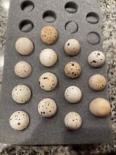Gambel quail hatching for sale  Duluth