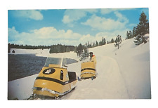 Snowmobiles along madison for sale  Tampa