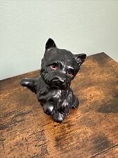 Black cairn terrier for sale  RAINHAM