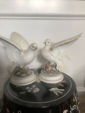 white dove andrea for sale  Roswell