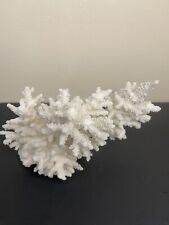 Natural white coral for sale  Orlando