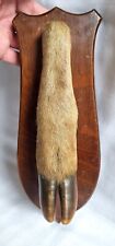 Used, ANTIQUE TAXIDERMY DEER HOOF HUNTING TROPHY MOUNTED ON OAK WALL PLAQUE for sale  Shipping to South Africa