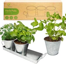 Herb planter indoor for sale  GLASGOW