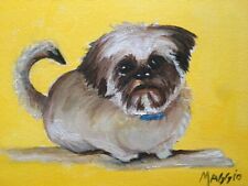 Shih tzu dog for sale  Mokena