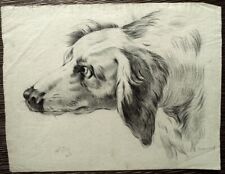 Portrait chien dessin d'occasion  Anet