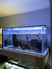 Custom 80x40x40 fish for sale  LINCOLN