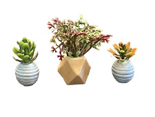 Planters vase plants for sale  Hendersonville
