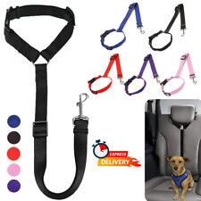 Adjustable pet dog for sale  READING