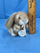holland bunny doe lop for sale  Orlando