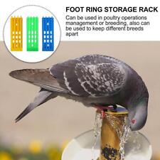 Rack racing pigeon for sale  Shipping to Ireland