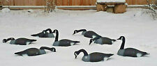 Canada goose field for sale  Sandy