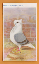 Birds feathered 1912 for sale  DAWLISH