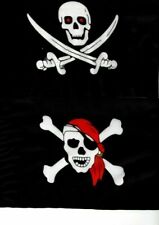 Fahne piratenfahne piratenflag gebraucht kaufen  Neuenhagen