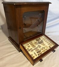 Victorian entomology collector for sale  LONDON