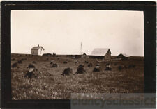 1910 american field for sale  Eugene