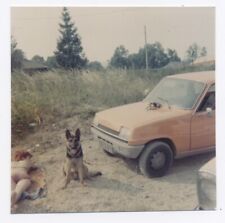 Vintage renault chien d'occasion  Expédié en Belgium
