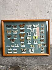 Real framed butterfly for sale  Shipping to Ireland