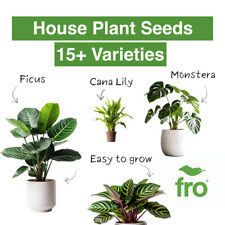 House plant seeds for sale  MANCHESTER