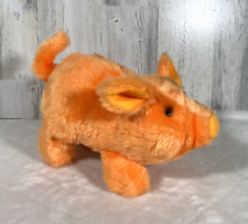 Iwaya pudgey piglet for sale  Highland
