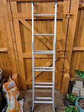 Way domestic ladder for sale  LANCING