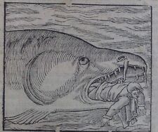 Xilografia balena mostro usato  Staranzano