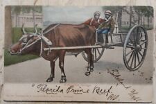 1906 "A Horseless Carriage" Carrinho de Boi Lakeland FL Florida Langsdorf PC comprar usado  Enviando para Brazil